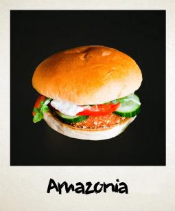 Amazonia - Ethnic Food